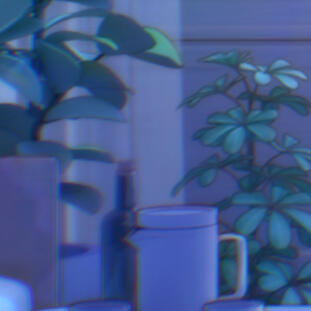 「 ✦ Assets ✦ 」